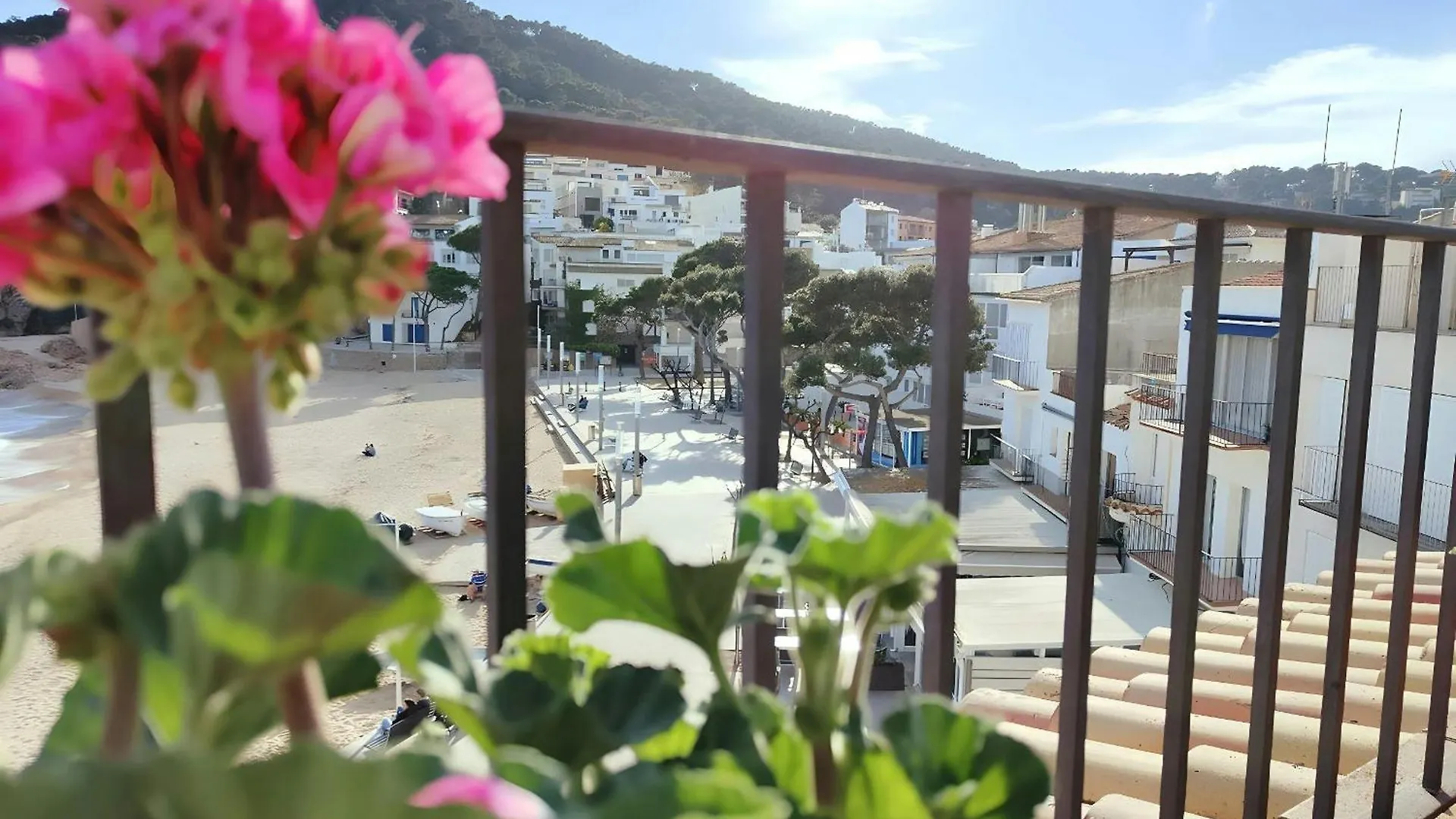 Apartamento Tamariu Platja - Penthouse On Passeig Del Mar. España
